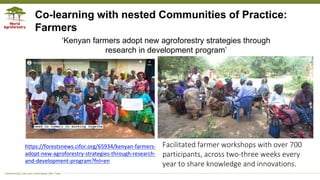 Applying the research in development approach to scale ecosystem restoration