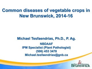 Common diseases of vegetable crops in
New Brunswick, 2014-16
Michael Tesfaendrias, Ph.D., P. Ag.
NBDAAF
IPM Specialist (Plant Pathologist)
(506) 453 3478
Michael.tesfaendrias@gnb.ca
 