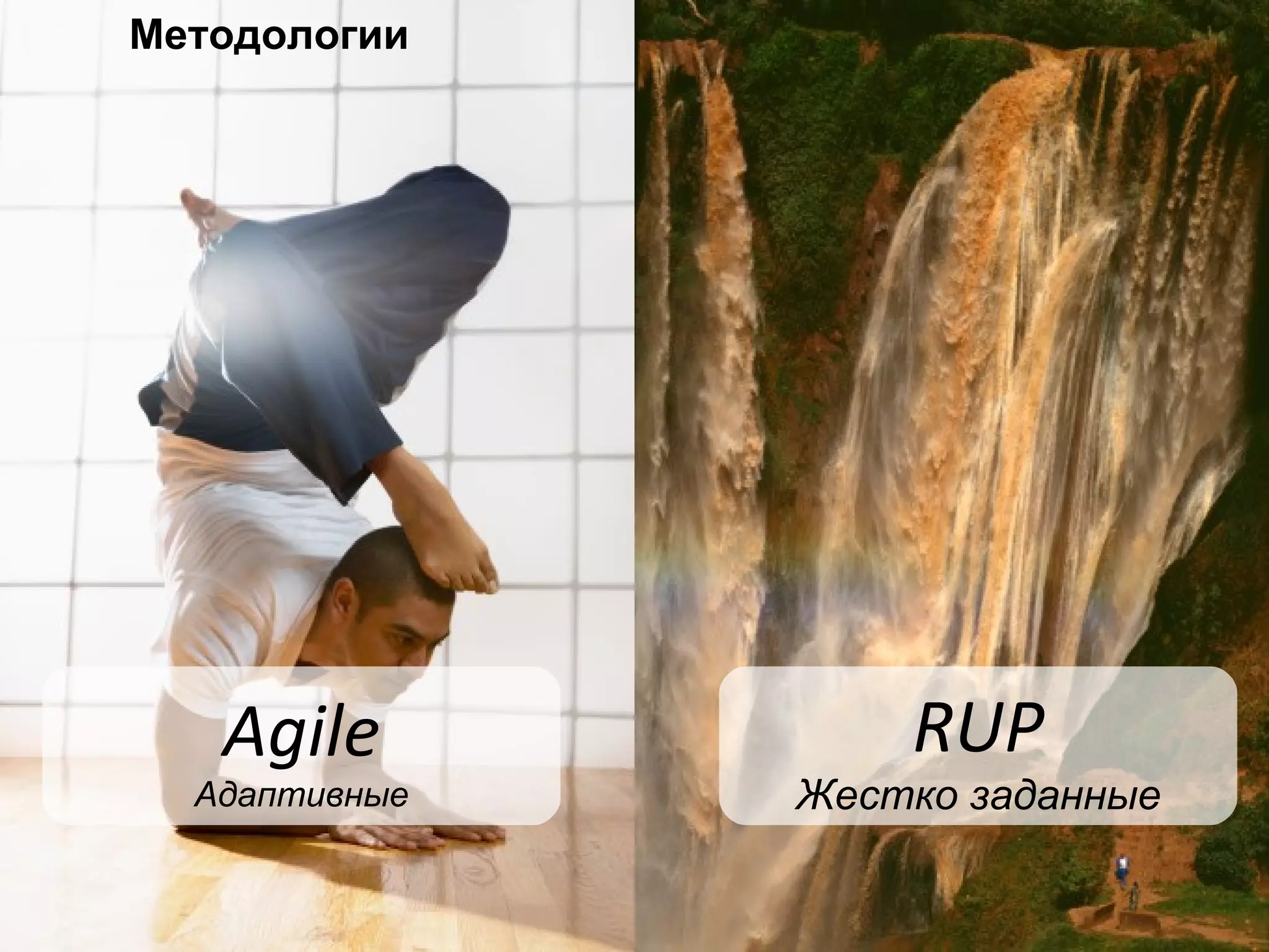 Agile Адаптивные RUP Жестко заданные Методологии 