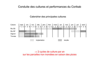 Conduite des cultures et performances du Corikab

Calendrier des principales cultures

Culture

sept.
oct.
nov.
déc.
janv.
févr. mars
avr.
mai
juin
juil.
août
1 2 3 1 2 3 1 2 3 1 2 3 1 2 3 1 2 3 1 2 3 1 2 3 1 2 3 1 2 3 1 2 3 1 2 3

Riz SS
Riz SP
Oignon
Tomate
implantation

récolte

⇒ 2 cycles de culture par an
sur les parcelles non inondées en saison des pluies

 