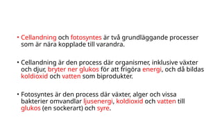Cell Cellandning Och Fotosyntes F r k 8 PPTX cell-cellandning-och-fotosyntes-f-r-k-8-pptx