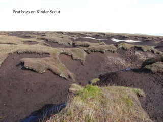 Peat bogs on Kinder Scout

 