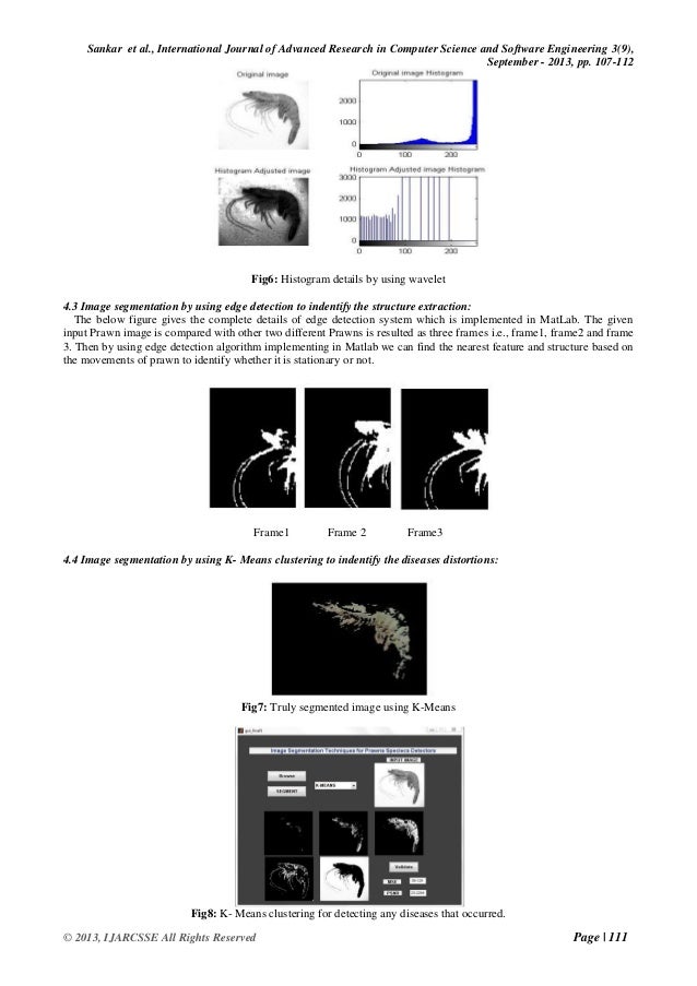 histogram k matlab means Images Virus using in White Syndrome Spot Shrimp Detection histogram k matlab means Images Virus using in White Syndrome Spot Shrimp Detection