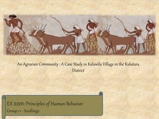 EX 2201: Principles of Human Behavior
Group 11 - Seedlings
An Agrarian Community : A Case Study in Kalawila Village in the Kalutara
District
 