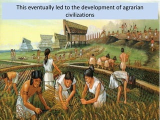 Agrarian societies | PPT