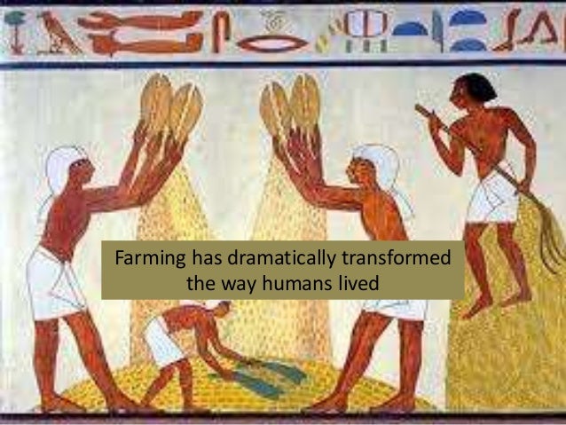 agrarian-societies