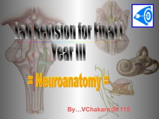 Lab Revision for Final I Year III By…VChakarn Si’115 = Neuroanatomy = 