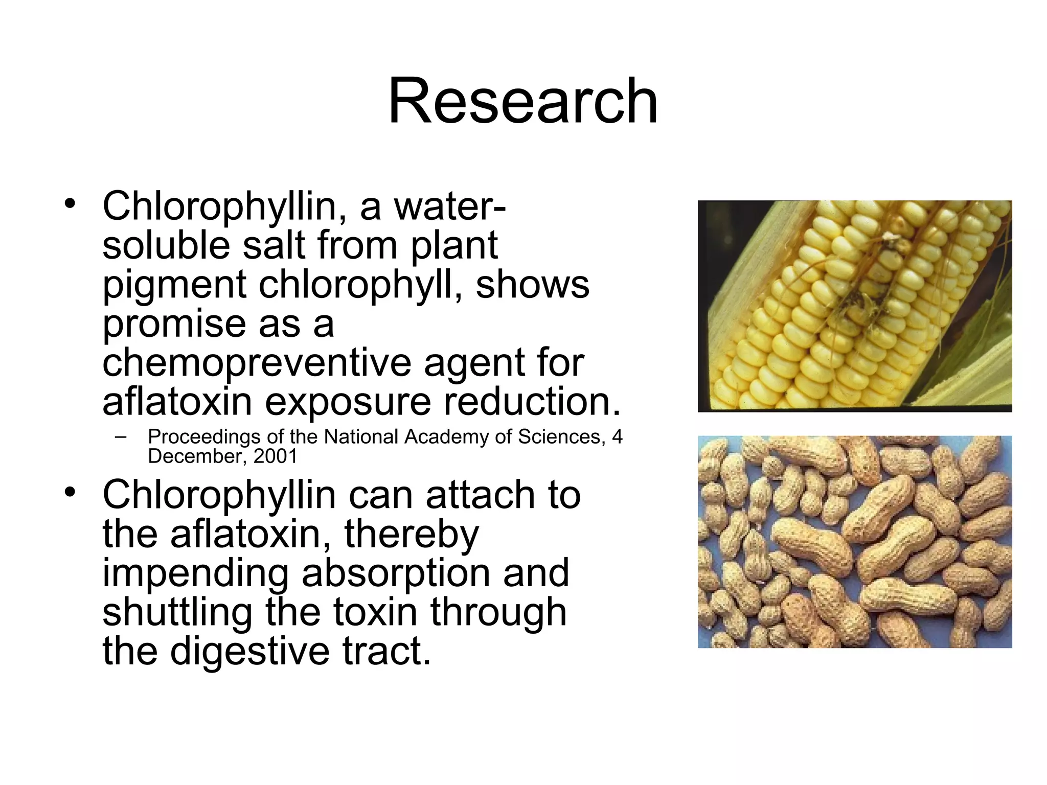 Research
• Chlorophyllin, a water-
  soluble salt from plant
  pigment chlorophyll, shows
  promise as a
  chemopreventive agent for
  aflatoxin exposure reduction.
  –   Proceedings of the National Academy of Sciences, 4
      December, 2001

• Chlorophyllin can attach to
  the aflatoxin, thereby
  impending absorption and
  shuttling the toxin through
  the digestive tract.
 