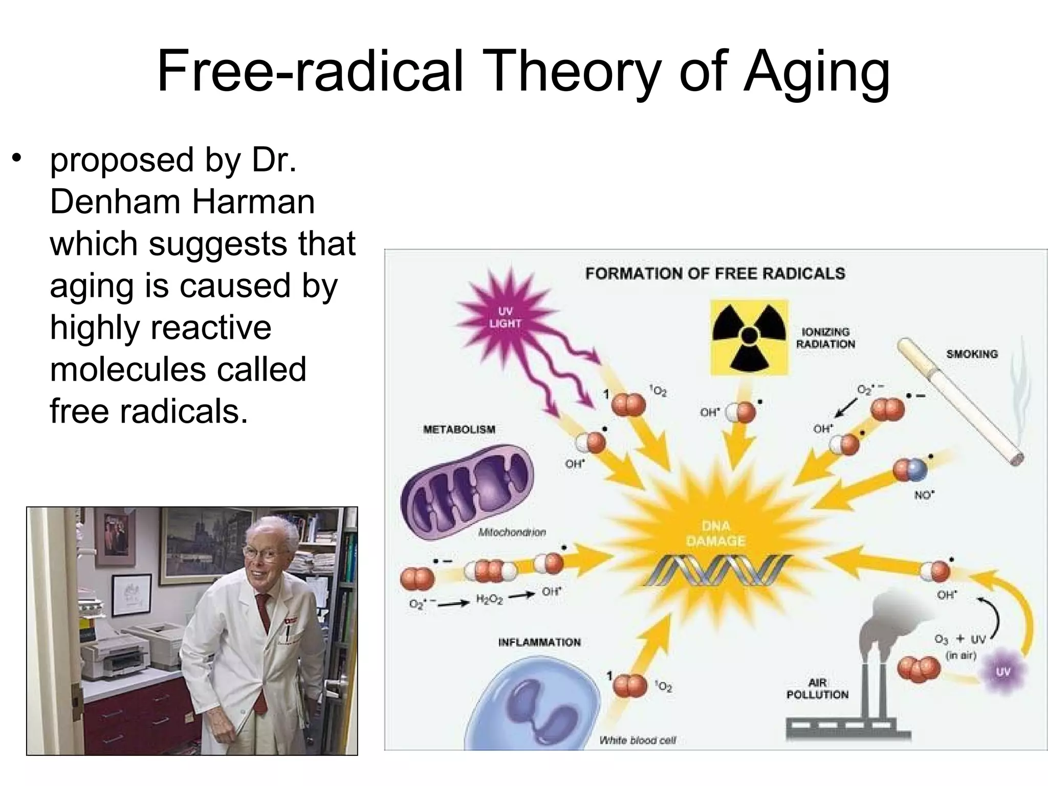 Free-radical Theory of Aging
• proposed by Dr.
  Denham Harman
  which suggests that
  aging is caused by
  highly reactive
  molecules called
  free radicals.
 