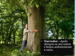Narrador -  Apolo abraçou-se aos ramos e beijou ardentemente a casca. 