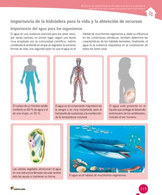 219
Reconocer los cambios de la energía eléctrica y los aportes
de científicos en su estudio
Importancia de la hidrósfera para la vida y la obtención de recursos
Importancia del agua para los organismos
El agua es una sustancia esencial para los seres vivos,
por varias razones; en primer lugar, según una teoría
muy aceptada por la comunidad científica, habría
constituido el ambiente en el que se originaron la primeras
formas de vida; una segunda razón es que el agua es el
hábitat de muchísimos organismos y, dada su influencia
en las condiciones climáticas, también determina las
características de los hábitats terrestres; finalmente, el
agua es la sustancia mayoritaria en la composición de
todos los seres vivos.
Las células vegetales almacenan el agua
en una estructura llamada vacuola central,
esto les ayuda a mantener su forma. El agua es el hábitat de muchísimos organismos.
El agua está presente en el
líquido que protege el desarrollo
embrionario de los vertebrados,
incluido el ser humano.
El cuerpo de un hombre adulto
contiene un 60 % de agua y el
de una mujer, un 55 %.
El agua es el componente mayoritario de
la sangre y es muy importante para el
transporte de sustancias y la mantención
de la temperatura corporal.
Describir las características de las capas de la Tierra que permiten el
desarrollo de la vida y proveen de recursos para el ser humano
 