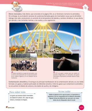 229
Reconocer los cambios de la energía eléctrica y los aportes de
científicos en su estudio
Identificar las causas de los principales problemas que afectan a las
capas de la Tierra y proponer medidas para su protección
Los gases que provocan efecto invernadero
son dióxido de carbono, CFC, vapor de agua,
metano y monóxido de nitrógeno.
Para saber más
Debido al deterioro de la capa de ozono, es importante no
exponerse al Sol sin resguardarse de la radiación ultravioleta.
Algunas formas de protección son usar gorro con visera,
lentes de sol y bloqueador solar en la piel.
Yo me cuido
Efecto invernadero. Este efecto, que conociste en la página 216, es un fenómeno normal en la atmósfera.
Sin embargo, la acumulación excesiva de sustancias llamadas gases de invernadero causa que la atmósfera
retenga más calor, produciendo un aumento de la temperatura del planeta y cambios climáticos, lo que afecta,
por ejemplo, a las corrientes marinas, a los suelos y a los organismos.
Contaminación atmosférica. El esmog es la principal manifestación de la contaminación del aire; es una niebla
formada con gases y material particulado de diferentes tamaños. Entre los gases que contaminan la atmósfera
se encuentran el dióxido de carbono y los óxidos de azufre y de nitrógeno.
El metano también es un gas de invernadero, que
se forma principalmente por la descomposición
de la materia orgánica y en el intestino de los
herbívoros.
Los CFC son gases creados para ser usados en
aparatos refrigerantes y en aerosoles. Son gases
invernadero importantes y también dañan la capa
de ozono.
 