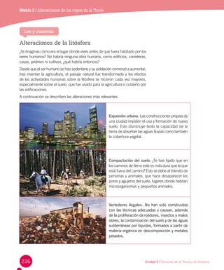 236
Módulo 2 / Alteraciones de las capas de laTierra
Alteraciones de la litósfera
¿Te imaginas cómo era el lugar donde vives antes de que fuera habitado por los
seres humanos? No habría ninguna obra humana, como edificios, carreteras,
casas, jardines ni cultivos, ¿qué habría entonces?
Desde que el ser humano se hizo sedentario y su población comenzó a aumentar,
tras inventar la agricultura, el paisaje natural fue transformado y los efectos
de las actividades humanas sobre la litósfera se hicieron cada vez mayores,
especialmente sobre el suelo, que fue usado para la agricultura o cubierto por
las edificaciones.
A continuación se describen las alteraciones más relevantes.
Lee y comenta
Expansión urbana. Las construcciones propias de
una ciudad impiden el uso y formación de nuevo
suelo. Esto disminuye tanto la capacidad de la
tierra de absorber las aguas lluvias como también
la cobertura vegetal.
Compactación del suelo. ¿Te has fijado que en
los caminos de tierra esta es más dura que la que
está fuera del camino? Esto se debe al tránsito de
personas y animales, que hace desaparecer los
poros y agujeros del suelo, lugares donde habitan
microorganismos y pequeños animales.
Vertederos ilegales. No han sido construidos
con las técnicas adecuadas y causan, además
de la proliferación de roedores, insectos y malos
olores, la contaminación del suelo y de las aguas
subterráneas por líquidos, formados a partir de
materia orgánica en descomposición y metales
pesados.
Unidad 5 / Ciencias de la Tierra y el Universo
 