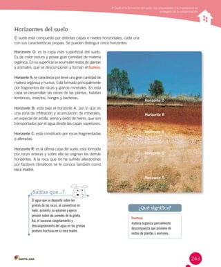 243
Explicar la formación del suelo, sus propiedades y la importancia de
protegerlo de la contaminación
Horizontes del suelo
El suelo está compuesto por distintas capas o niveles horizontales, cada una
con sus características propias. Se pueden distinguir cinco horizontes:
Horizonte O: es la capa más superficial del suelo.
Es de color oscuro y posee gran cantidad de materia
orgánica. En su superficie se acumulan restos de plantas
y animales, que se descomponen y forman el humus.
Horizonte A: se caracteriza por tener una gran cantidad de
materia orgánica y humus. Está formado principalmente
por fragmentos de rocas y granos minerales. En esta
capa se desarrollan las raíces de las plantas, habitan
lombrices, insectos, hongos y bacterias.
Horizonte B: está bajo el horizonte A, por lo que es
una zona de infiltración y acumulación de minerales,
en especial de arcilla, arena y óxido de hierro, que son
transportados por el agua desde las capas superiores.
Horizonte C: está constituido por rocas fragmentadas
o alteradas.
Horizonte R: es la última capa del suelo; está formada
por rocas enteras y sobre ella se originan los demás
horizontes. A la roca que no ha sufrido alteraciones
por factores climáticos se le conoce también como
roca madre.
El agua que se deposita sobre las
grietas de las rocas, al convertirse en
hielo, aumenta su volumen y ejerce
presión sobre las paredes de la grieta.
Así, el sucesivo congelamiento y
descongelamiento del agua en las grietas
produce fracturas en la roca madre.
¿Sabías que...?
Horizonte O
Horizonte A
Horizonte B
Horizonte C
Horizonte R
humus
materia orgánica parcialmente
descompuesta que proviene de
restos de plantas y animales.
¿Qué significa?
 