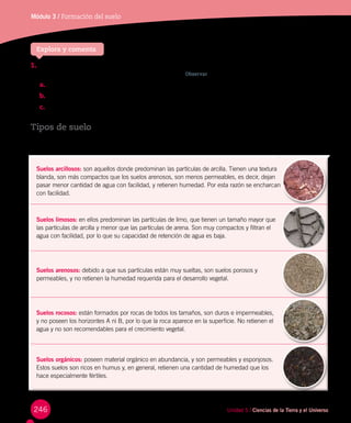 246
Módulo 3 / Formación del suelo
Explora y comenta
1.	Reúnanse en grupos de 2 o 3 compañeros. Consigan muestras de tierra de hojas, arena y arcilla. Coloquen en sus
manos una porción seca de cada muestra y obsérvenla. Observar
a.	 ¿Cómo es el tamaño de sus partículas?
b.	 ¿Cómo es la textura de cada una?
c.	 Descríbelas en cuanto a su color, si son duras o esponjosas, etc.
Tipos de suelo
De acuerdo con la composición de un suelo, es posible distinguir suelos arcillosos, limosos, arenosos, rocosos y orgánicos.
Unidad 5 / Ciencias de la Tierra y el Universo
 