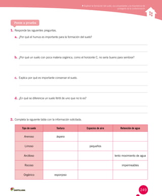 249
Reconocer los cambios de la energía eléctrica y los aportes
de científicos en su estudio
1.	Responde las siguientes preguntas.
a.	 ¿Por qué el humus es importante para la formación del suelo?
	
	
b.	 	¿Por qué un suelo con poca materia orgánica, como el horizonte C, no sería bueno para sembrar?
	
	
c.	 Explica por qué es importante conservar el suelo.
	
	
d.	 ¿En qué se diferencia un suelo fértil de uno que no lo es?
	
	
2.	Completa la siguiente tabla con la información solicitada.
Ponte a prueba
Explicar la formación del suelo, sus propiedades y la importancia de
protegerlo de la contaminación
Tipo de suelo Textura Espacios de aire Retención de agua
Arenoso áspera
Limoso pequeños
Arcilloso lento movimiento de agua
Rocoso impermeables
Orgánico esponjoso
 