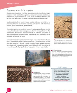 Consecuencias de la erosión
El suelo es un ecosistema muy frágil, que puede ser eliminado fácilmente por
la erosión si falta la cobertura vegetal que lo sujeta. Cuando se produce una
deforestación, es frecuente que las lluvias, en vez de infiltrarse, formen cursos
de agua que corren por la superficie arrastrando los materiales del suelo.
La pérdida del suelo por erosión natural que deja el terreno convertido en un
desierto se denomina desertización. Cuando es consecuencia de la intervención
humana, recibe el nombre de desertificación.
Otro de los impactos que afectan al suelo es la sobreexplotación, que consiste
en su utilización excesiva para la agricultura. Cuando se recoge todos los años
una cosecha, el suelo se va empobreciendo de los nutrientes que utilizan las
plantas, normalmente nitratos y fosfatos. La escasez de estos nutrientes ocasiona
la pérdida de fertilidad del suelo.
La extracción de recursos minerales también provoca un impacto sobre el suelo,
ya que, normalmente, implica retirar la vegetación y el suelo fértil para acceder
al recurso que se va a explotar. El impacto negativo sobre el suelo es severo,
pero actualmente es obligatorio realizar una rehabilitación de la zona, volviendo
a extender suelo fértil y repoblando con vegetación similar a la eliminada.
Módulo 4 / La erosión
Los suelos desérticos son improductivos
debido a su baja capacidad de retención
de agua y a la escasa presencia de humus.
Inundaciones
En las llanuras, los campos que sufren
el sobrepastoreo y el uso de maquinaria
agrícola pueden verse afectados por
inundaciones, debido a que el peso
de las maquinarias y el pisoteo de los
animales comprimen los poros del suelo,
volviéndolos impermeables.
Incendios forestales
El 90 % de los incendios forestales son
producidos por la acción humana. No solo
calcinan los suelos, dejándolos a merced de
la erosión, sino que también destruyen todo
el ecosistema que crece sobre ellos.
Unidad 5 / Ciencias de la Tierra y el Universo256
¿Sabes cuántos años se demoraría
la roca madre en formar un suelo
de solo 5 cm?, o ¿en cuántos años
desaparece un suelo que se
deja al descubierto?
Para responder estas preguntas
te invitamos a visitar la página web
www.casadelsaber.cl/cie/608.
Conectad@s
 