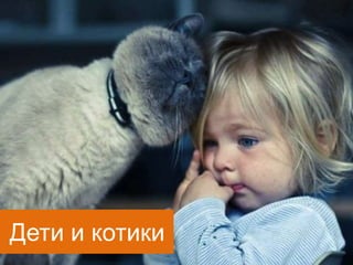 Дети и котики