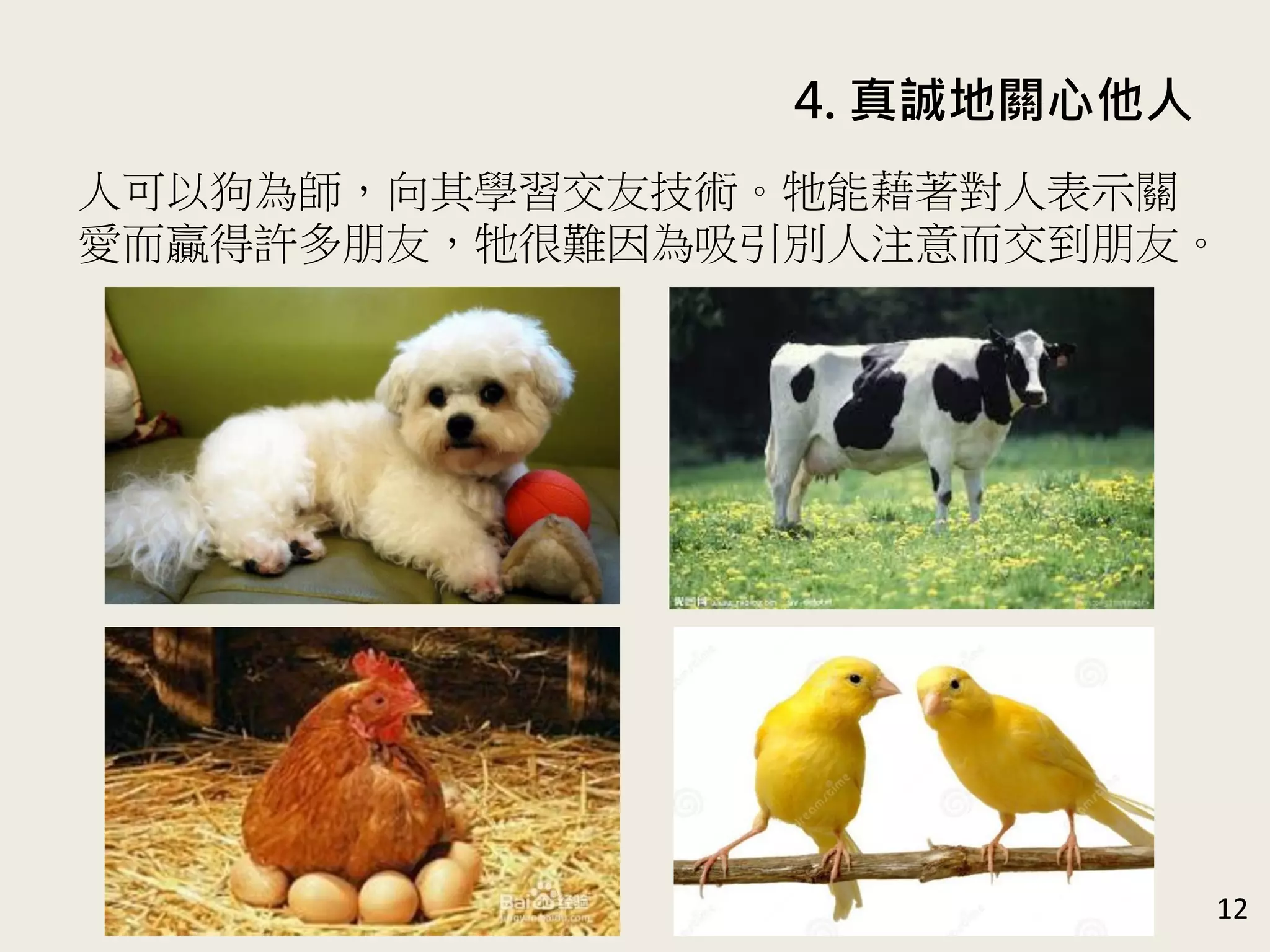 4. 真誠地關心他人
12
人可以狗為師，向其學習交友技術。牠能藉著對人表示關
愛而贏得許多朋友，牠很難因為吸引別人注意而交到朋友。
 