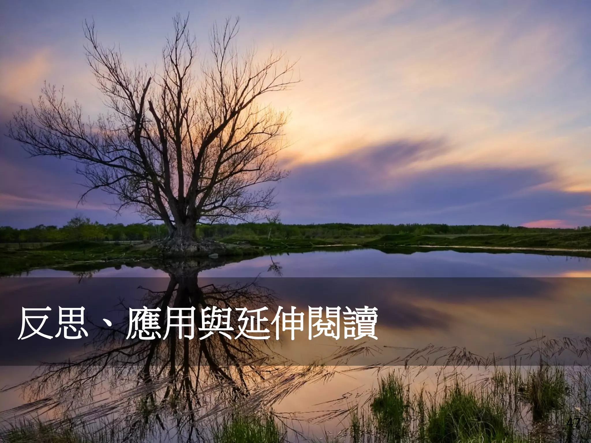 反思、應用與延伸閱讀
47
 