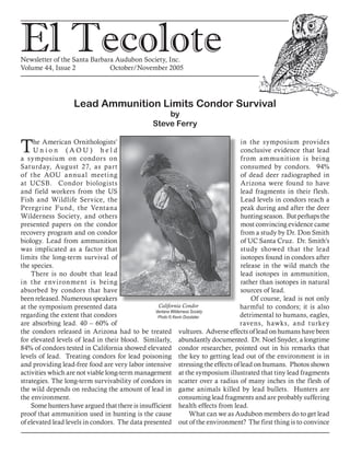 El TecoloteNewsletter of the Santa Barbara Audubon Society, Inc.
Volume 44, Issue 2		 October/November 2005
Lead Ammunition Limits Condor Survival
by
Steve Ferry
in the symposium provides
conclusive evidence that lead
from ammunition is being
consumed by condors. 94%
of dead deer radiographed in
Arizona were found to have
lead fragments in their flesh.
Lead levels in condors reach a
peak during and after the deer
huntingseason. Butperhapsthe
most convincing evidence came
from a study by Dr. Don Smith
of UC Santa Cruz. Dr. Smith’s
study showed that the lead
isotopes found in condors after
release in the wild match the
lead isotopes in ammunition,
rather than isotopes in natural
sources of lead.
Of course, lead is not only
harmful to condors; it is also
detrimental to humans, eagles,
ravens, hawks, and turkey
vultures. Adverse effects of lead on humans have been
abundantly documented. Dr. Noel Snyder, a longtime
condor researcher, pointed out in his remarks that
the key to getting lead out of the environment is in
stressing the effects of lead on humans. Photos shown
at the symposium illustrated that tiny lead fragments
scatter over a radius of many inches in the flesh of
game animals killed by lead bullets. Hunters are
consuming lead fragments and are probably suffering
health effects from lead.
What can we as Audubon members do to get lead
out of the environment? The first thing is to convince
The American Ornithologists’
U n i o n ( A O U ) h e l d
a symposium on condors on
Saturday, August 27, as part
of the AOU annual meeting
at UCSB. Condor biologists
and field workers from the US
Fish and Wildlife Service, the
Peregrine Fund, the Ventana
Wilderness Society, and others
presented papers on the condor
recovery program and on condor
biology. Lead from ammunition
was implicated as a factor that
limits the long-term survival of
the species.
There is no doubt that lead
in the environment is being
absorbed by condors that have
been released. Numerous speakers
at the symposium presented data
regarding the extent that condors
are absorbing lead. 40 – 60% of
the condors released in Arizona had to be treated
for elevated levels of lead in their blood. Similarly,
84% of condors tested in California showed elevated
levels of lead. Treating condors for lead poisoning
and providing lead-free food are very labor intensive
activities which are not viable long-term management
strategies. The long-term survivability of condors in
the wild depends on reducing the amount of lead in
the environment.
Some hunters have argued that there is insufficient
proof that ammunition used in hunting is the cause
of elevated lead levels in condors. The data presented
California Condor
Ventana Wilderness Society
Photo © Kevin Doxstater
 