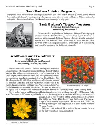 El Tecolote, December, 2005/January, 2006 Page 
Santa Barbara Audubon Programs
All programs, unless otherwise noted, will take place at Farrand Hall, Santa Barbara Museum of Natural History, Mission
Canyon, Santa Barbara. Free on-site parking. All programs, unless otherwise noted, will begin at 7:30 p.m. and are free
to the public. Doors open at 7:00 p.m.. SBAS members are encouraged to bring guests.
Buttercup by Rick Burgess
California Poppy by Rick Burgess
Santa Barbara’s Tidepool Treasures
Genevieve (Genny) Anderson
Wednesday, December 7
Genny, who has taught Marine Biology and Biological Oceanography
classes at Santa Barbara City College for over 30 years, will illustrate her
program with images of the Santa Barbara tidepools and the individual
species that can be found there. Even after 30 years, she still finds
surprises with each tidepool excursion. Please join us in this exciting
and beautiful journey to the California tidepools.
Wildflowers and Fire Followers
Rick Burgess
Environmental Biologist and Botanist
Wednesday, January 25, 2006
Ventura and Santa Barbara Counties encompass a number of
unique habitats which support an unprecedented diversity of plant
species. The region represents a melting pot of plants native to the
coast ranges, Sierran montane forest, and the sagebrush scrub and
pinyon-juniper woodland more typical of the Great Basin. Join
Rick Burgess for this slide-illustrated lecture which covers some of
the common and not-so-common wildflowers which occur in the
region. Special emphasis will be given to “pyrophyte endemics” or
fire followers as they are more often called. With spring on the way,
it’s a good idea to review these plants so that we can impress our friends by being able to identify them!
Rick is an Environmental Biologist and Botanist and is currently employed by the City of Thousand Oaks
as an Environmental Planner, a position he has held for twenty years. Associated with many environmental
groups, Rick is past president of the Channel Islands Chapter of
the California Native Plant Society and has been a Director-At-
Large of the state wide organization. He and his wife, Trisha, are
currently working on the preparation of a book on the plants of
Ventura County.
Why not come and see if Rick can identify that plant on the side
of the trail you’ve been wondering about.
 