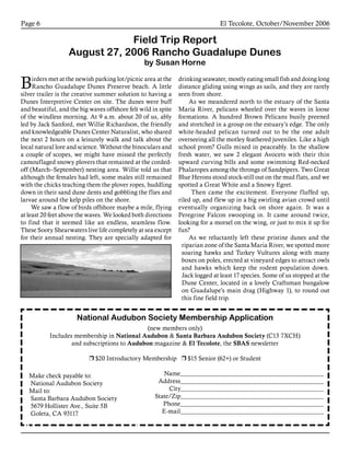 El Tecolote, October/November 2006Page 
National Audubon Society Membership Application
(new members only)
Includes membership in National Audubon  Santa Barbara Audubon Society (C13 7XCH)
and subscriptions to Audubon magazine  El Tecolote, the SBAS newsletter
r $20 Introductory Membership r $15 Senior (62+) or Student
Name_________________________________________
Address_________________________________________
City_________________________________________
State/Zip_________________________________________
Phone_________________________________________
E-mail_________________________________________
Make check payable to:
National Audubon Society
Mail to:
Santa Barbara Audubon Society
5679 Hollister Ave., Suite 5B
Goleta, CA 93117
Field Trip Report
August 27, 2006 Rancho Guadalupe Dunes
by Susan Horne
drinking seawater, mostly eating small fish and doing long
distance gliding using wings as sails, and they are rarely
seen from shore.
As we meandered north to the estuary of the Santa
Maria River, pelicans wheeled over the waves in loose
formations. A hundred Brown Pelicans busily preened
and stretched in a group on the estuary’s edge. The only
white-headed pelican turned out to be the one adult
overseeing all the motley feathered juveniles. Like a high
school prom? Gulls mixed in peaceably. In the shallow
fresh water, we saw 2 elegant Avocets with their thin
upward curving bills and some swimming Red-necked
Phalaropes among the throngs of Sandpipers. Two Great
Blue Herons stood stock-still out on the mud flats, and we
spotted a Great White and a Snowy Egret.
Then came the excitement. Everyone fluffed up,
riled up, and flew up in a big swirling avian crowd until
eventually organizing back on shore again. It was a
Peregrine Falcon swooping in. It came around twice,
looking for a morsel on the wing, or just to mix it up for
fun?
As we reluctantly left these pristine dunes and the
riparian zone of the Santa Maria River, we spotted more
soaring hawks and Turkey Vultures along with many
boxes on poles, erected at vineyard edges to attract owls
and hawks which keep the rodent population down.
Jack logged at least 17 species. Some of us stopped at the
Dune Center, located in a lovely Craftsman bungalow
on Guadalupe’s main drag (Highway 1), to round out
this fine field trip.
Birders met at the newish parking lot/picnic area at the
Rancho Guadalupe Dunes Preserve beach. A little
silver trailer is the creative summer solution to having a
Dunes Interpretive Center on site. The dunes were buff
and beautiful, and the big waves offshore felt wild in spite
of the windless morning. At 9 a.m. about 20 of us, ably
led by Jack Sanford, met Willie Richardson, the friendly
and knowledgeable Dunes Center Naturalist, who shared
the next 2 hours on a leisurely walk and talk about the
local natural lore and science. Without the binoculars and
a couple of scopes, we might have missed the perfectly
camouflaged snowy plovers that remained at the corded-
off (March–September) nesting area. Willie told us that
although the females had left, some males still remained
with the chicks teaching them the plover ropes, huddling
down in their sand dune dents and gobbling the flies and
larvae around the kelp piles on the shore.
We saw a flow of birds offshore maybe a mile, flying
at least 20 feet above the waves. We looked both directions
to find that it seemed like an endless, seamless flow.
These Sooty Shearwaters live life completely at sea except
for their annual nesting. They are specially adapted for
 