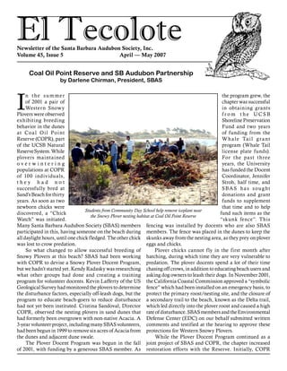 El TecoloteNewsletter of the Santa Barbara Audubon Society, Inc.
Volume 45, Issue 5				 April — May 2007
I
n the summer
of 2001 a pair of
Western Snowy
Plovers were observed
exhibiting breeding
behavior in the dunes
at Coal Oil Point
Reserve (COPR), part
of the UCSB Natural
ReserveSystem.While
plovers maintained
o v e r w i n t e r i n g
populations at COPR
of 100 individuals,
t h e y h a d n o t
successfully bred at
Sand’s Beach for thirty
years. As soon as two
newborn chicks were
discovered, a “Chick
Watch” was initiated.
Many Santa Barbara Audubon Society (SBAS) members
participated in this, having someone on the beach during
all daylight hours, until one chick fledged. The other chick
was lost to crow predation.
	So what changed to allow successful breeding of
Snowy Plovers at this beach? SBAS had been working
with COPR to devise a Snowy Plover Docent Program,
but we hadn’t started yet. Kendy Radasky was researching
what other groups had done and creating a training
program for volunteer docents. Kevin Lafferty of the US
Geological Survey had monitored the plovers to determine
the disturbance factors, especially off-leash dogs, but the
program to educate beach-goers to reduce disturbance
had not yet been instituted. Cristina Sandoval, Director
COPR, observed the nesting plovers in sand dunes that
had formerly been overgrown with non-native Acacia. A
3-year volunteer project, including many SBAS volunteers,
had been begun in 1999 to remove six acres of Acacia from
the dunes and adjacent dune swale.
	The Plover Docent Program was begun in the fall
of 2001, with funding by a generous SBAS member. As
Coal Oil Point Reserve and SB Audubon Partnership
by Darlene Chirman, President, SBAS
the program grew, the
chapter was successful
in obtaining grants
f r o m t h e UC S B
Shoreline Preservation
Fund and two years
of funding from the
Whale Tail grant
program (Whale Tail
license plate funds).
For the past three
years, the University
has funded the Docent
Coordinator, Jennifer
Stroh, half time, and
SBAS has sought
donations and grant
funds to supplement
that time and to help
fund such items as the
“skunk fence”. This
fencing was installed by docents who are also SBAS
members. The fence was placed in the dunes to keep the
skunks away from the nesting area, as they prey on plover
eggs and chicks.
Plover chicks cannot fly in the first month after
hatching, during which time they are very vulnerable to
predation. The plover docents spend a lot of their time
chasing off crows, in addition to educating beach users and
asking dog owners to leash their dogs. In November 2001,
the California Coastal Commission approved a “symbolic
fence” which had been installed on an emergency basis, to
protect the primary roost/nesting site, and the closure of
a secondary trail to the beach, known as the Delta trail,
which led directly into the plover roost and caused a high
rateof disturbance. SBAS membersandthe Environmental
Defense Center (EDC) on our behalf submitted written
comments and testified at the hearing to approve these
protections for Western Snowy Plovers.
	While the Plover Docent Program continued as a
joint project of SBAS and COPR, the chapter increased
restoration efforts with the Reserve. Initially, COPR
Students from Community Day School help remove iceplant near
the Snowy Plover nesting habitat at Coal Oil Point Reserve
 