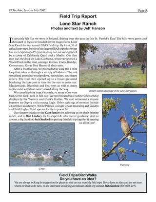 El Tecolote, June — July 2007 Page 5
Field Trip Report
Lone Star Ranch
Photos and text by Jeff Hanson
It certainly felt like we were in Ireland, driving over the pass on this St. Patrick's Day! The hills were green and
shrouded in fog as we headed for the magnificent Lone
Star Ranch for our annual SBAS field trip. By 8 am, 57 of
us had convened for one of the largest SBAS trips this writer
has ever experienced! Upon heading out, we were greeted
by a covey of California Quail and a Merlin. Our first
stop was the dock on Lake Cachuma, where we spotted a
Wood Duck in the mist, amongst Grebes, Coots, Ruddys,
Cormorants, Great Blue Herons & their nests.
After a fruitful stay, we proceeded to walk the 2 mile
loop that takes us through a variety of habitats. The oak
woodland provided woodpeckers, nuthatches, and many
others. The trail then opened up to a broad grassland
bordering the lake just in time for the sun to come out.
Meadowlarks, Bluebirds and Sparrows as well as many
raptors and waterfowl were viewed along the way.
We completed the loop a bit early, so many of us went
back to the dock, now in full sun. We were treated to a number of courtship
displays by the Western and Clark’s Grebes. We also witnessed a dispute
between an Osprey and a young Eagle. Other sightings of mention include
a Common Goldeneye, White Pelican, a single Cedar Waxwing and Golden
and Bald Eagles. Total species for the trip was 54.
Our sincere thanks to the Carr family for allowing us on their pristine
ranch, and to Rob Lindsey for his expert & informative guidance. And as
always,abigthankstoJackSanfordforputtingthisfieldtriptogether&keeping
us all in line!
Field Trips/Bird Walks
Do you have an idea?
We are always looking for suggestion for places to visit on our monthly field trips. If you have an idea and are not sure
where or what to do next, or are interested in helping coordinate a field trip contact Jack Sanford (805) 566-2191.
Waxwing
Grebes
Birders taking advantage of the Lone Star Ranch.
 