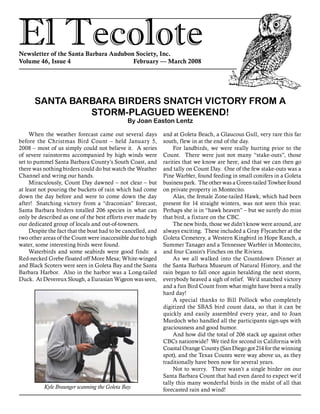 El TecoloteNewsletter of the Santa Barbara Audubon Society, Inc.
Volume 46, Issue 4				 February — March 2008
and at Goleta Beach, a Glaucous Gull, very rare this far
south, flew in at the end of the day.
	For landbirds, we were really hurting prior to the
Count. There were just not many “stake-outs”, those
rarities that we know are here, and that we can then go
and tally on Count Day. One of the few stake-outs was a
Pine Warbler, found feeding in small conifers in a Goleta
business park. The other was a Green-tailed Towhee found
on private property in Montecito.
	Alas, the female Zone-tailed Hawk, which had been
present for 14 straight winters, was not seen this year.
Perhaps she is in “hawk heaven” – but we surely do miss
that bird, a fixture on the CBC.
	The new birds, those we didn’t know were around, are
always exciting. These included a Gray Flycatcher at the
Goleta Cemetery, a Western Kingbird in Hope Ranch, a
Summer Tanager and a Tennessee Warbler in Montecito,
and four Cassin’s Finches on the Riviera.
	As we all walked into the Countdown Dinner at
the Santa Barbara Museum of Natural History, and the
rain began to fall once again heralding the next storm,
everybody heaved a sigh of relief. We’d snatched victory
and a fun Bird Count from what might have been a really
hard day!
	A special thanks to Bill Pollock who completely
digitized the SBAS bird count data, so that it can be
quickly and easily assembled every year, and to Joan
Murdoch who handled all the participants sign-ups with
graciousness and good humor.
	And how did the total of 206 stack up against other
CBCs nationwide? We tied for second in California with
Coastal Orange County (San Diego got 214 for the winning
spot), and the Texas Counts were way above us, as they
traditionally have been now for several years.
	Not to worry. There wasn’t a single birder on our
Santa Barbara Count that had even dared to expect we’d
tally this many wonderful birds in the midst of all that
forecasted rain and wind!
	When the weather forecast came out several days
before the Christmas Bird Count – held January 5,
2008 – most of us simply could not believe it. A series
of severe rainstorms accompanied by high winds were
set to pummel Santa Barbara County’s South Coast, and
there was nothing birders could do but watch the Weather
Channel and wring our hands.
	Miraculously, Count Day dawned – not clear – but
at least not pouring the buckets of rain which had come
down the day before and were to come down the day
after! Snatching victory from a “draconian” forecast,
Santa Barbara birders totalled 206 species in what can
only be described as one of the best efforts ever made by
our dedicated group of locals and out-of-towners.
	Despite the fact that the boat had to be cancelled, and
two other areas of the Count were inaccessible due to high
water, some interesting birds were found.
	Waterbirds and some seabirds were good finds: a
Red-necked Grebe floated off More Mesa; White-winged
and Black Scoters were seen in Goleta Bay and the Santa
Barbara Harbor. Also in the harbor was a Long-tailed
Duck. At Devereux Slough, a Eurasian Wigeon was seen,
SANTA BARBARA BIRDERS SNATCH VICTORY FROM A
STORM-PLAGUED WEEKEND!
By Joan Easton Lentz
Kyle Braunger scanning the Goleta Bay.
 