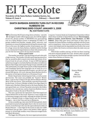 El TecoloteNewsletter of the Santa Barbara Audubon Society, Inc.
Volume 47, Issue 4				 February — March 2009
This Christmas Bird Count will go down in history – not with
the highest number of bird species seen, but with the highest
(drum-roll, please) number of BIRDERS ever participating
ever on a Santa Barbara Count! A whopping 212 folks in 77
groups combed local beaches, sloughs, parks, reservoirs, and
mountains to census bird populations during this annual event.
Prior to this year, the highest number of participants was 182.
It’s a huge victory for Santa Barbara Audubon and for birding
in our community! Congratulations to those who joined us this
year for the first time and to all you loyal returnees.
What a great Count!
The weather was perfect, the day being cool and calm with
a high overcast. The number of birders participating assured us
that we would be able to search every nook and cranny of our
Count Circle for all sorts of birds. A total of 209 bird species
tallied was enough to win Santa Barbara first place in California
(ahead of San Diego and Coastal Orange County with 205 each)!
The traditionally very high Texas Counts at Mad Island Marsh
and Guadalupe Ranch have long been out of reach for us in
species totals, but I understand that Freeport, our old rival, got
around 200 species. All in all, that puts Santa Barbara third in
the nation in bird species found on a Christmas Count!
Birders found some interesting new birds, as well as some
old favorites. The rarest was probably the “Eastern” Winter
Wren, a species that is likely to be split off from Western Winter
Wren in the near future. That would be a new bird historically
for the Count. A Grace’s Warbler at Bella Vista Open Space in
Goleta and a Northern Waterthrush at the Santa Barbara Zoo
were good finds, too. A Gray Flycatcher returned to the Goleta
Cemetery for a second year, and an American Redstart was on
Atascadero Creek at the end of Ward Drive.
This was a good year for sapsuckers: both Red-naped and
Yellow-bellied were on the Count. However, it was a tough year
to find many tanagers and orioles, although we did get fortunate
to spot a Hooded Oriole in Hope Ranch and two Summer
Tanagers – one in Isla Vista and one in Montecito.
As far as numbers go, there were 46,761 birds spotted, which
surprised everyone by being higher than in the two most recent
Counts. Contributing to this was the unprecedented number of
Brown Pelicans – a new high for the Count at well over 5,000
individuals (just go take a look at the harbor). Other species
present in record high numbers were Glaucous-winged Gulls
and Black Skimmers.
The bigger the CBC grows, the more organizational talents
it requires. I want to thank my Compilation Committee without
whom there would be no Santa Barbara Count: Dave Compton,
Rebecca Coulter, Jared Dawson, Joan Murdoch, and Bill
Pollock. These folks gave hours and hours of their time to
volunteer for Santa Barbara Audubon and help with the Count
and its compilation. I also want to thank the many out-of-town
visitors who helped and the dependable local birders that scout
the area before the Count so we know where the stake-outs can
be found.
With birder numbers soaring, we’ll be out there counting
with more and more people every year. At least, that is our goal.
Let’s hope we’ll be fortunate enough to protect the bird life that
makes Santa Barbara so famous, too.
SANTA BARBARA BIRDERS TURN OUT IN RECORD
NUMBERS ON
CHRISTMAS BIRD COUNT JANUARY 3, 2009
	 By Joan Easton Lentz
Eastern Winter
Wren
Photo by
Evan Caves
Lower Paradise Road Birders; Fred Emerson, Andy Lentz,
Dennis Nord, Kate McCurdy, Laura Baldwin and Tim
Matthews
Photo By Haldane Harris
 