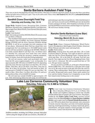 El Tecolote, February–March 2010 Page 5
Santa Barbara Audubon Field Trips
These trips are fun for both beginning and expert bird watchers. Binoculars are useful for enjoyment of birds, but if you don’t have a pair please
call the trip leader and we’ll lend you a spare. Trips are free unless noted. Please contact Jack Sanford (805) 566-2191 or jacksanford@hotmail.
com for details or questions.
Sandhill Crane Overnight Field Trip
Saturday and Sunday, Feb. 13-14
Target Birds: Sandhill Cranes, Burrowing Owls, Common
Moorhens, Horned Larks, Loggerhead Shrikes, Lark Sparrows,
Blue-winged Teal, Marsh Wrens, Great Horned Owls plus many
other species.
Leader: Jack Sanford
Cost: free (camp ground fees $8-$10) (Motel 20 minutes away
in Lost Hills or Delano)
This Audubon field trip will visit the Colonel Allensworth
State Historic Park (CASHP), the Pixley National Wildlife
Refuge (PNWR) and the Kern National Wildlife Refuge
(KNWR). It will be an overnight trip with camping at one
of two places. Allensworth State Park has closed their nice
campground, but I am working on it. If CASHP doesn’t work
out we will have primitive camping at the KNWR. Motels at
Lost Hills include Motel 6 and Day’s Inn. At Delano there
is a Holiday Inn. Everyone must make their own vehicle
arrangements and bring the necessary camping equipment,
layers of clothes, food and drink plus birding equipment.
We will not caravan, rather each participant will travel
from the S.B. area at approximately 7 a.m. on Saturday. It is
approximately 200- 230 miles to CASHP from S.B. depending
upon the route. One way to get there is to take Hwy. 101 to Paso
Robles. Take Hwy. 46 to Lost Hills. Cross Hwy. 5 but stay on
Hwy. 46 to Hwy 43 (18 miles). Turn left (north) on Hwy. 43
and proceed to CASHP (15 miles). Or you can take Hwy. 101
south to Hwy. 126 to Hwy. 5 to Hwy. 46 to Hwy. 43, and turn
left (north) on Hwy. 43 to CASHP (15 miles).
We will meet just outside CASHP at approximately 1:30
p.m. After determining where we will camp, we will bird the
park looking to spot Burrowing Owls etc. After that (between 4
p.m. and 5 p.m.) we will travel to PNWR and view the Sandhill
Cranes coming in till dark. After breakfast on Sunday we will
bird the KNWR for several hours and then begin our trip home.
We will return Sunday evening.
Rancho Santa Barbara (Lone Star)
(East end of Lake Cachuma)
Saturday, March 20, 8 a.m.-noon
(7:30 a.m. at car pool location)
Target Birds: Geese, Common Goldeneyes, Wood Ducks,
Lewis’s Woodpeckers, Bald Eagles, Clark’s Grebes, American
White Pelicans and other water and song birds
Leader: Rob Lindsay
Directions: Coming from the south take Hwy. 101 to Lake
Cachuma/State St. off ramp. Turn right on State St. and turn
right into the Five Points Shopping Center. Coming from the
north take Hwy. 101 to the State St. off ramp. Turn left onto
State St. Turn right into the Five Points Shopping Center. Park
near Carl’s Jr. restaurant. We will car pool from here at 7:30
a.m. (No gas money required.)
Or you can meet us at 8:00 a.m. at the gate to Rancho Santa
Barbara (4001 Hwy. 154, identified by a pipe gate with a large
star on it). We must all meet at the gate and enter the ranch as
a group. Wear walking shoes. Binoculars and spotting scopes
are useful. Bring water and a snack. Enjoy ranch owners Lee
Carr and his brother Charles Carr’s hospitality at one of the
best inland winter birding areas in the county!
T
he next Lake Los Carneros Community Volunteer
Day is Saturday, February 13, 9 a.m. to 12 Noon. Join
friends and neighbors helping to restore the valuable
wildlife habitat that surrounds Lake Los Carneros. The project,
funded by the Goleta Valley Land Trust, receives in-kind
support from the City of Goleta and Santa Barbara Audubon
Society, and is supervised by Channel Islands Restoration. So
far, over 300 native plants have been planted, and a mountain
of weeds removed. Saturday’s activities will include planting,
watering, mulching and weeding. As always, hand tools, gloves,
refreshments, and good company will be provided. For more
information, contact Julie Kummel, 805-403-3203.
Lake Los Carneros Community Volunteer Day
Saturday, February 13, 9 AM to 12 Noon.
Audubon members, including Joel Fithian, pictured, help plant
natives along the margin of Lake Los Carneros, December 20
 