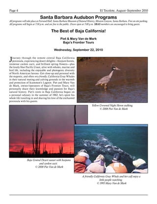 El Tecolote, August–September 2010Page 4
Santa Barbara Audubon Programs
All programs will take place at Farrand Hall, Santa Barbara Museum of Natural History, Mission Canyon, Santa Barbara. Free on-site parking.
All programs will begin at 7:30 p.m. and are free to the public. Doors open at 7:00 p.m. SBAS members are encouraged to bring guests.
The Best of Baja California!
Piet & Mary Van de Mark
Baja’s Frontier Tours
Wednesday, September 22, 2010
Journey through the remote central Baja California
peninsula, experiencing desert delights—boojum forests,
immense cardon cacti, and brilliant spring flowers—plus
the lovely blue Pacific Coast, alive with whales, marine and
bird life, including the enjoyable and photogenic diversity
of North American herons. Get close-up and personal with
the majestic, and often very friendly, California Gray Whales
in their natural mating and calving grounds in the warmth
and protection of Scammon’s Lagoon. Piet and Mary Van
de Mark, owner/operators of Baja’s Frontier Tours, will
personally share their knowledge and passion for Baja’s
natural history. Piet’s roots in Baja California began on
a personal odyssey in the summer of 1962; he’s spent his
whole life traveling in and sharing his love of the enchanted
peninsula with his guests.
  Yellow Crowned Night Heron stalking.
© 2008 Piet Van de Mark
A friendly California Gray Whale and her calf enjoy a
little people watching.
© 1995 Mary Van de Mark
Baja Central Desert sunset with boojums
and cardon cacti.
© 2008 Piet Van de Mark
 