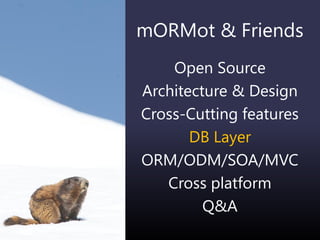 mORMot & Friends
Open Source
Architecture & Design
Cross-Cutting features
DB Layer
ORM/ODM/SOA/MVC
Cross platform
Q&A
 