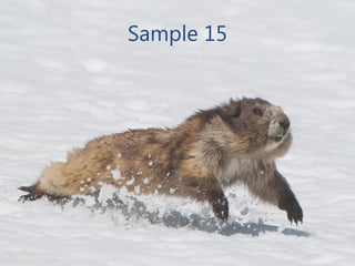 Sample 15
 