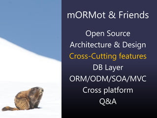 mORMot & Friends
Open Source
Architecture & Design
Cross-Cutting features
DB Layer
ORM/ODM/SOA/MVC
Cross platform
Q&A
 