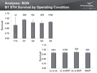 Analyses: BON
B1 STH Survival by Operating Condition
Survival
Survival
4933341861 2195
0.60
0.70
0.80
0.90
1.00
1.10
LL to UL LL to BOP UL to BOP ABOP
21 204 1199306 152
0.60
0.70
0.80
0.90
1.00
1.10
<1% Q1 Q2 Q3 Q4
 