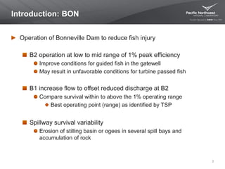 Introduction: BON
Operation of Bonneville Dam to reduce fish injury
B2 operation at low to mid range of 1% peak efficiency
Improve conditions for guided fish in the gatewell
May result in unfavorable conditions for turbine passed fish
B1 increase flow to offset reduced discharge at B2
Compare survival within to above the 1% operating range
Best operating point (range) as identified by TSP
Spillway survival variability
Erosion of stilling basin or ogees in several spill bays and
accumulation of rock
2
 