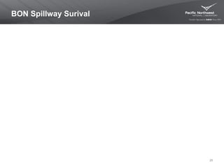 BON Spillway Surival
25
 