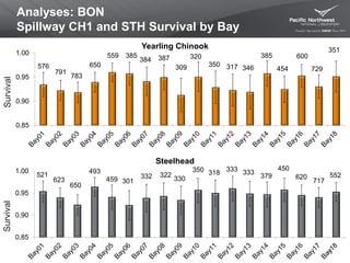 576
791
783
650
559 385
384 387
309
320
350 317 346
385
454
600
729
351
0.85
0.90
0.95
1.00
Yearling Chinook
Analyses: BON
Spillway CH1 and STH Survival by Bay
26
SurvivalSurvival
521
623
650
493
459 301
332 322
330
350 318
333
379
450
620
333
717
552
0.85
0.90
0.95
1.00
Steelhead
 