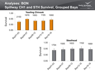 Analyses: BON
Spillway CH1 and STH Survival, Grouped Bays
27
2150
1978 1683 1185 1680
0.85
0.90
0.95
1.00
1794
1585 1653 1162 1889
0.85
0.90
0.95
1.00
Survival
Survival Steelhead
Yearling Chinook
 