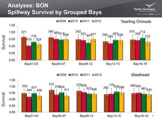 Analyses: BON
Spillway Survival by Grouped Bays
28
371 340 242
244
319
479
365 323
260
339
776
617
641
423
712
524
656 477 258 310
0.80
0.85
0.90
0.95
1.00
1.05
Bay01-03 Bay04-07 Bay08-12 Bay13-15 Bay16-18
2008 2010 2011 2012
Survival
Yearling Chinook
335
315 276
262
295
344
235 306 178 300
677 524 623
426
861
438 511 448
296
433
0.80
0.85
0.90
0.95
1.00
1.05
Bay01-03 Bay04-07 Bay08-12 Bay13-15 Bay16-18
2008 2010 2011 2012 Steelhead
Survival
 