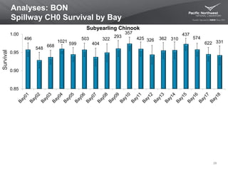 Analyses: BON
Spillway CH0 Survival by Bay
29
Survival
496
548
668
1021
599
503
404
322
293
357
425 326 362 310
437
574
622 331
0.85
0.90
0.95
1.00
Subyearling Chinook
 