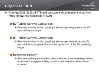 Objectives: BON
Analyze 2008-2012 JSATS and operations data to examine survival
rates for juvenile salmonids at BON
B2 Turbine Survival Comparison:
Examine survival for fish passing turbines operating across the 1%
peak efficiency range
B1 Turbine Survival Comparison:
Examine survival for fish passing turbines operating within the 1%
peak efficiency range and above the upper limit of the 1% operating
range
Bonneville Spillway:
Examine spillway survival by spillbay with focus on those bays where
erosion of the ogee or stilling basin immediately downstream had
occurred
3
 