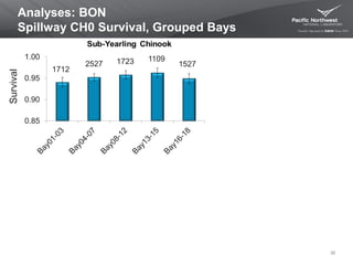 Analyses: BON
Spillway CH0 Survival, Grouped Bays
30
1712
2527 1723 1109
1527
0.85
0.90
0.95
1.00
Survival
 