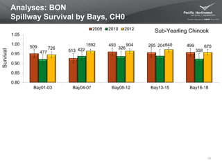 Analyses: BON
Spillway Survival by Bays, CH0
31
509
513
493 265 499
477
422 326
204
358
726
1592 904 640 670
0.80
0.85
0.90
0.95
1.00
1.05
Bay01-03 Bay04-07 Bay08-12 Bay13-15 Bay16-18
2008 2010 2012
Sub-Yearling Chinook
Survival
 