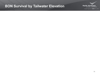 BON Survival by Tailwater Elevation
34
 