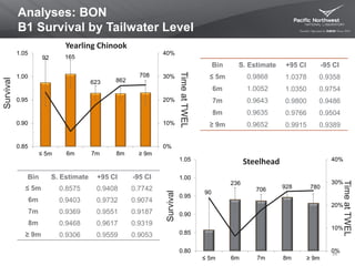 90
236
706 928 780
0%
10%
20%
30%
40%
0.80
0.85
0.90
0.95
1.00
1.05
≤ 5m 6m 7m 8m ≥ 9m
92 165
623 862
708
0%
10%
20%
30%
40%
0.85
0.90
0.95
1.00
1.05
≤ 5m 6m 7m 8m ≥ 9m
Analyses: BON
B1 Survival by Tailwater Level
Yearling Chinook
Survival
Steelhead
Bin S. Estimate +95 CI -95 CI
≤ 5m 0.9868 1.0378 0.9358
6m 1.0052 1.0350 0.9754
7m 0.9643 0.9800 0.9486
8m 0.9635 0.9766 0.9504
≥ 9m 0.9652 0.9915 0.9389
Bin S. Estimate +95 CI -95 CI
≤ 5m 0.8575 0.9408 0.7742
6m 0.9403 0.9732 0.9074
7m 0.9369 0.9551 0.9187
8m 0.9468 0.9617 0.9319
≥ 9m 0.9306 0.9559 0.9053
35
Survival
TimeatTWEL
TimeatTWEL
 