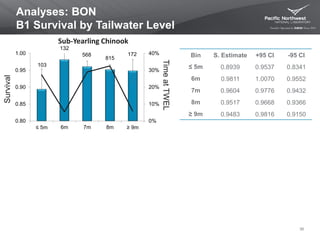 103
132
568
815
172
0%
10%
20%
30%
40%
0.80
0.85
0.90
0.95
1.00
≤ 5m 6m 7m 8m ≥ 9m
Analyses: BON
B1 Survival by Tailwater Level
Bin S. Estimate +95 CI -95 CI
≤ 5m 0.8939 0.9537 0.8341
6m 0.9811 1.0070 0.9552
7m 0.9604 0.9776 0.9432
8m 0.9517 0.9668 0.9366
≥ 9m 0.9483 0.9816 0.9150
Survival
36
Sub-Yearling Chinook
TimeatTWEL
 