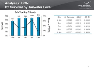 1227
280 398 1375 315
0%
10%
20%
30%
40%
0.50
0.60
0.70
0.80
0.90
1.00
≤ 5m 6m 7m 8m ≥ 9m
Bin S. Estimate +95 CI -95 CI
≤ 5m 0.8720 0.8910 0.8530
6m 0.9440 0.9712 0.9168
7m 0.9454 0.9685 0.9223
8m 0.9522 0.9640 0.9404
≥ 9m 0.9663 0.9867 0.9459
Analyses: BON
B2 Survival by Tailwater Level
Survival
38
TimeatTWEL
Sub-Yearling Chinook
 